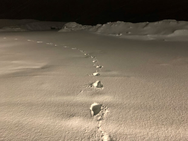 sumomo365_202001_Niseko_00.jpg