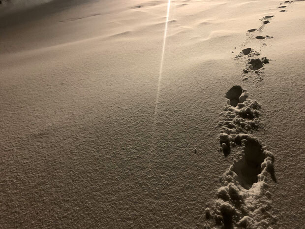 sumomo365_202001_Niseko_01.jpg