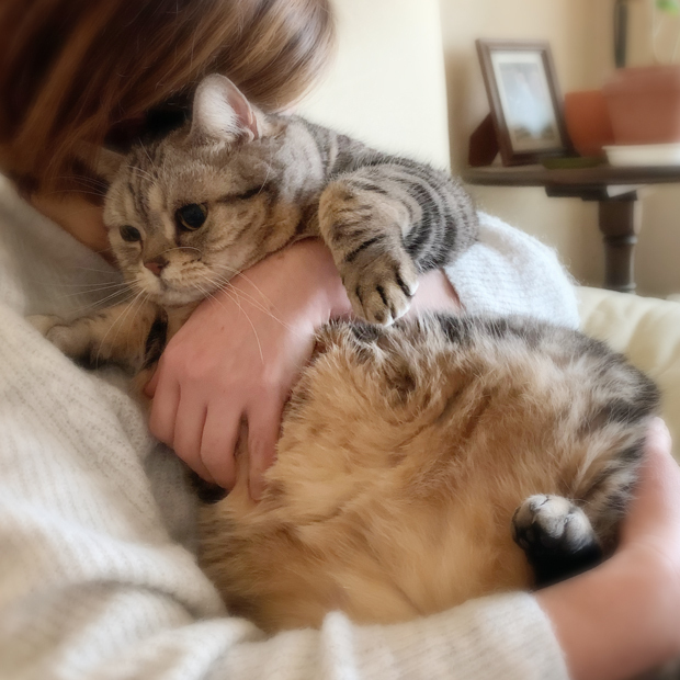sumomo365_202002_Boss_Mama_01.jpg