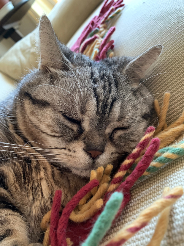 sumomo365_202002_Sleeping_fringe_03.jpg