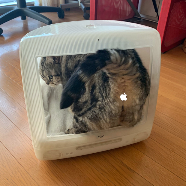 sumomo365_202002_iMac_house_06.jpg