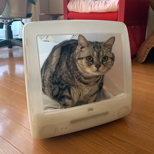 sumomo365_202002_iMac_house_07.jpg