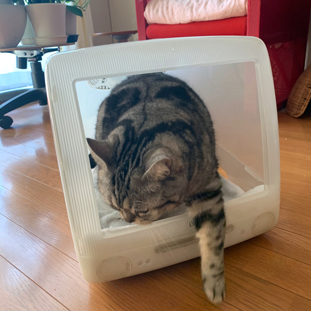 sumomo365_202002_iMac_house_08.jpg
