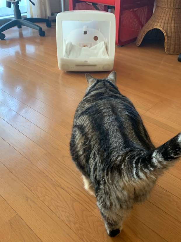 sumomo365_202002_iMac_house_10.jpg