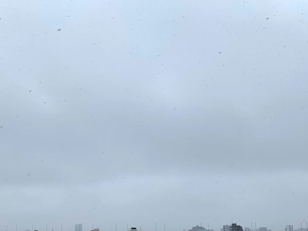 sumomo365_20200314_sky_01.jpg