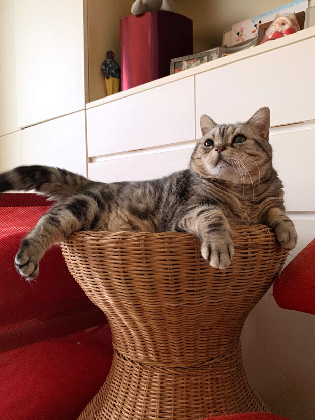 sumomo365_202010_relax01_02.jpg