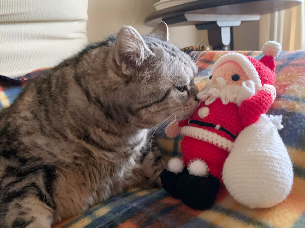 sumomo365_20201225_Merrry_Christmas_00.jpg