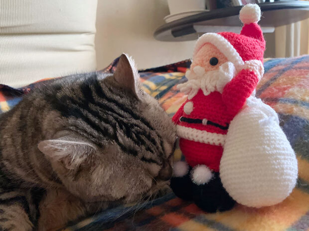 sumomo365_20201225_Merrry_Christmas_01.jpg