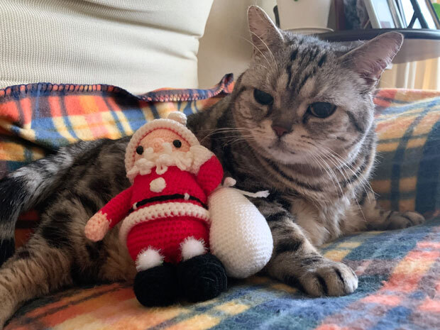 sumomo365_20201225_Merrry_Christmas_03.jpg