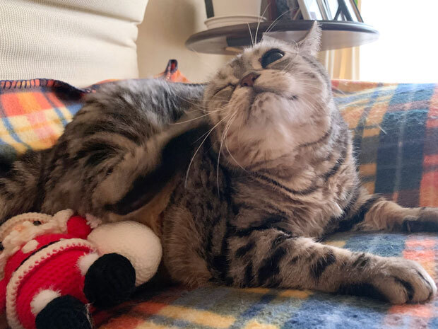 sumomo365_20201225_Merrry_Christmas_04.jpg