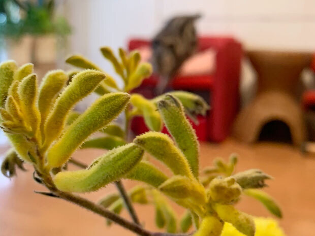 sumomo365_202012_Flower_Vase_05.jpg