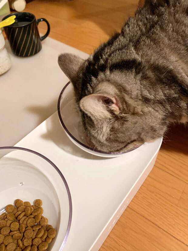 sumomo365_202012_Food_bowl_02.jpg