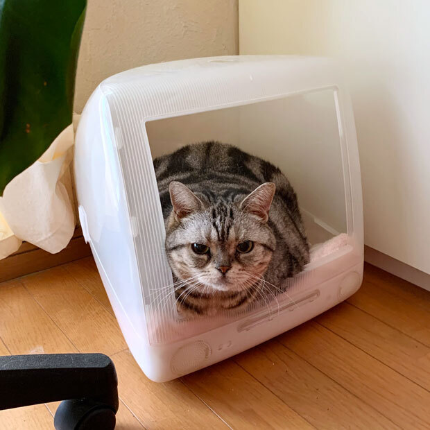 sumomo365_202023_iMac_house_00.jpg