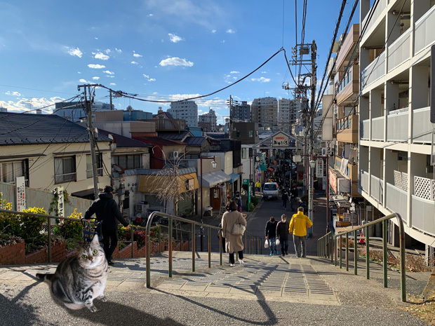 sumomo365_202031_Yanaka_Sendagi_03f.jpg