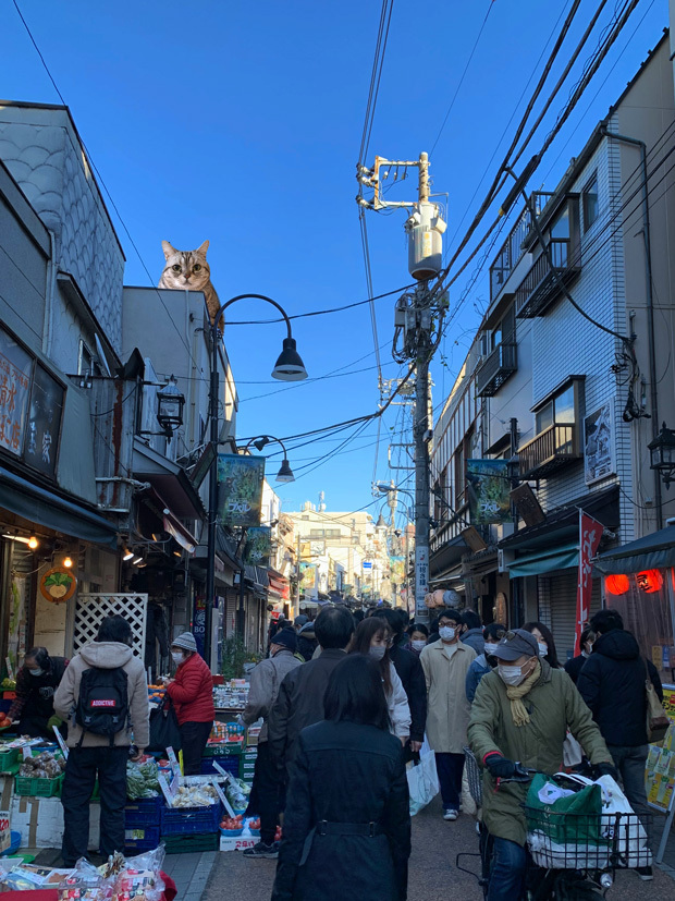 sumomo365_202031_Yanaka_Sendagi_04b.jpg