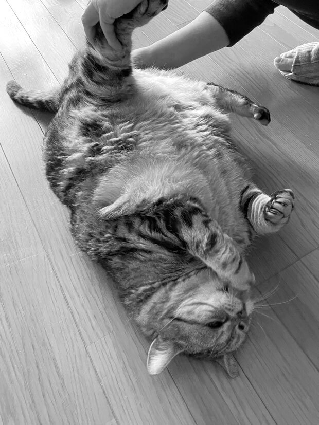 sumomo365_202105_Beautiful_beautiful_bw00.jpg