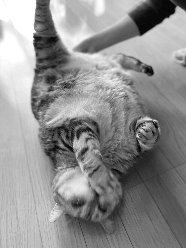 sumomo365_202105_Beautiful_beautiful_bw01.jpg