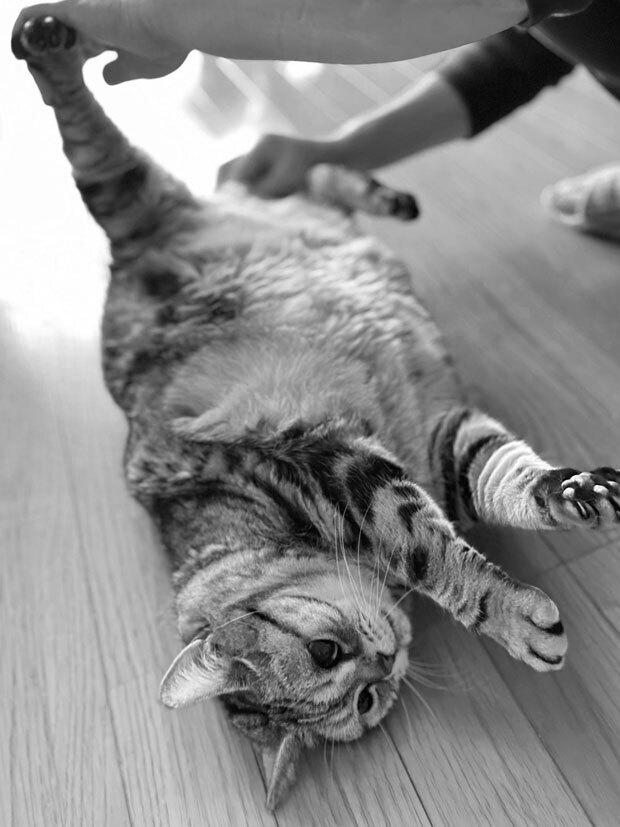 sumomo365_202105_Beautiful_beautiful_bw04.jpg