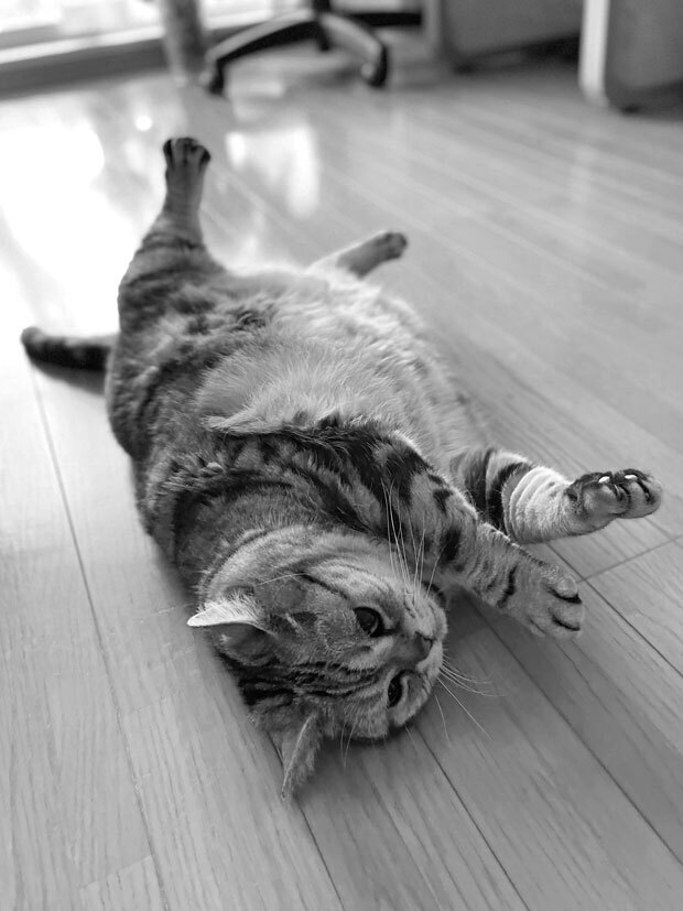 sumomo365_202105_Beautiful_beautiful_bw05.jpg