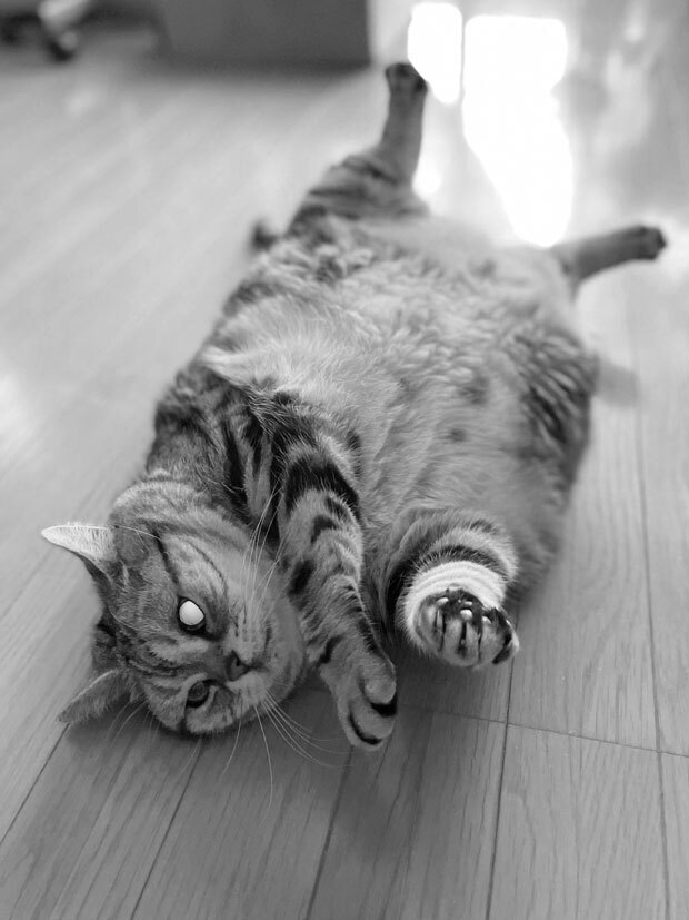 sumomo365_202105_Beautiful_beautiful_bw06.jpg