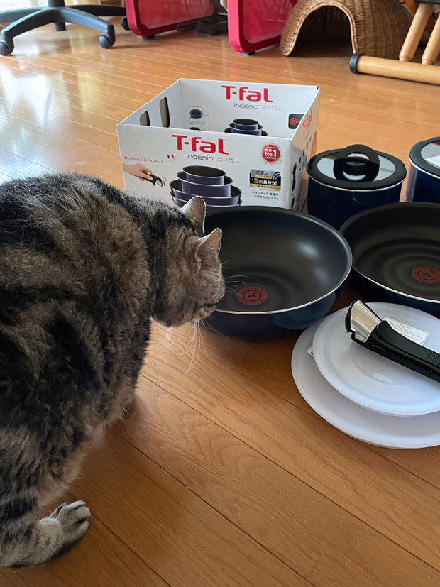 sumomo365_202105_Tefal_01.jpg