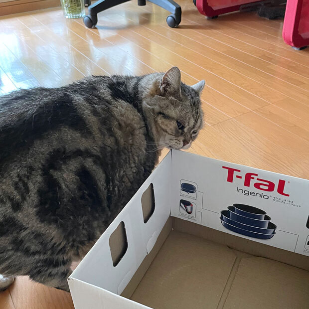 sumomo365_202105_Tefal_02.jpg