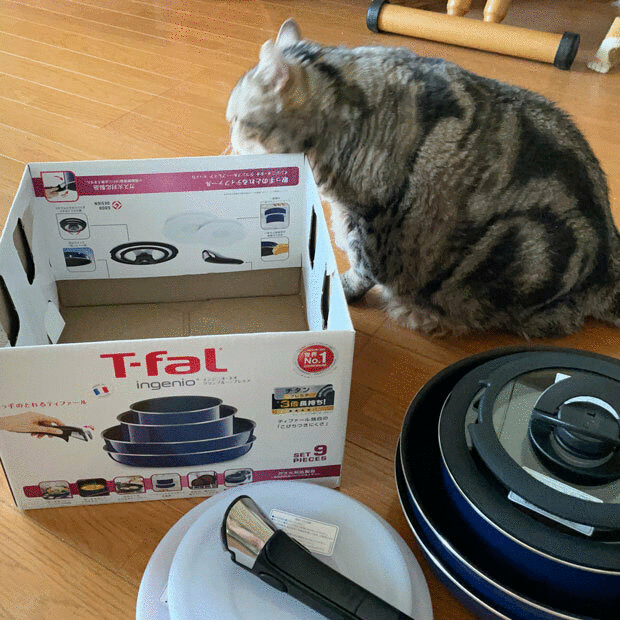 sumomo365_202105_Tefal_06_0309.gif