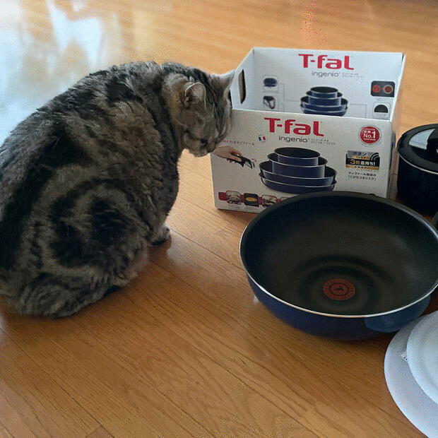sumomo365_202105_Tefal_06_0903.gif