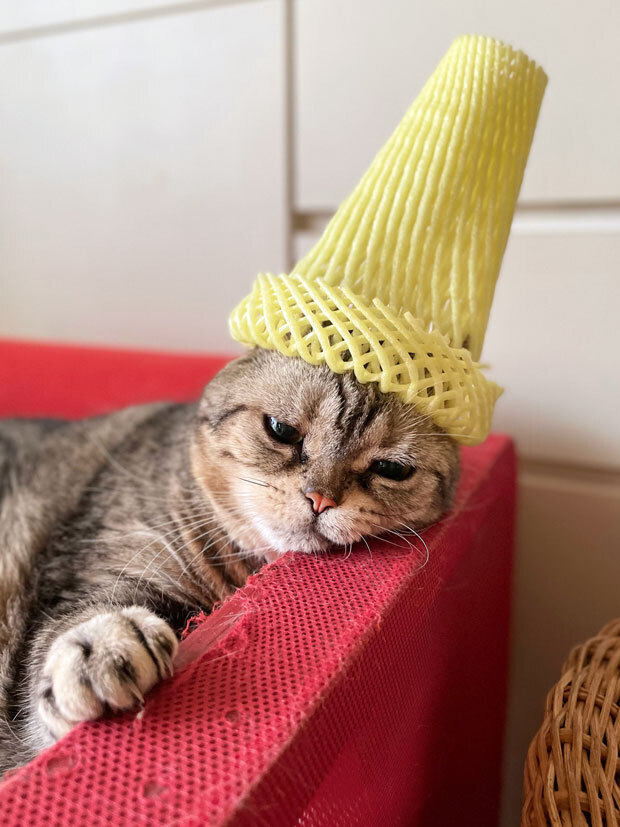 sumomo365_20210608_hat_01.jpg