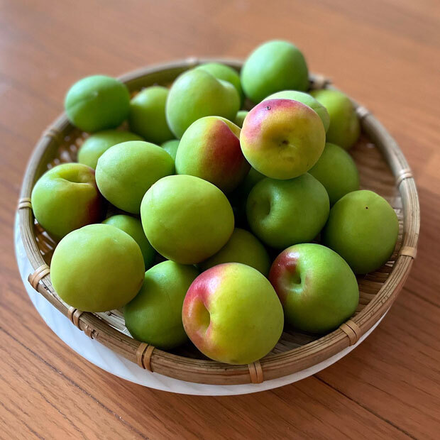 sumomo365_202106_Plum_syrup_00b.jpg