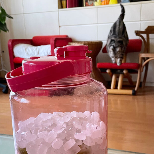 sumomo365_202106_Plum_syrup_04.jpg