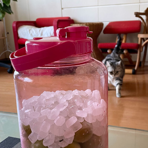 sumomo365_202106_Plum_syrup_05.jpg