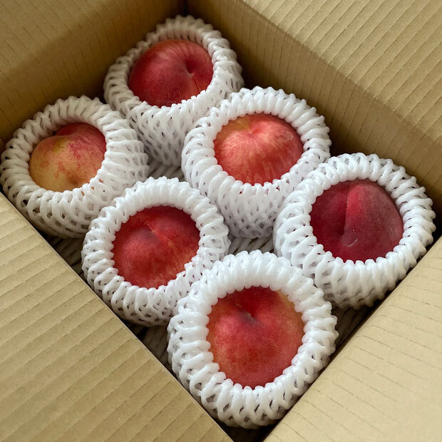 sumomo365_202107_From_brother_peach_00.jpg