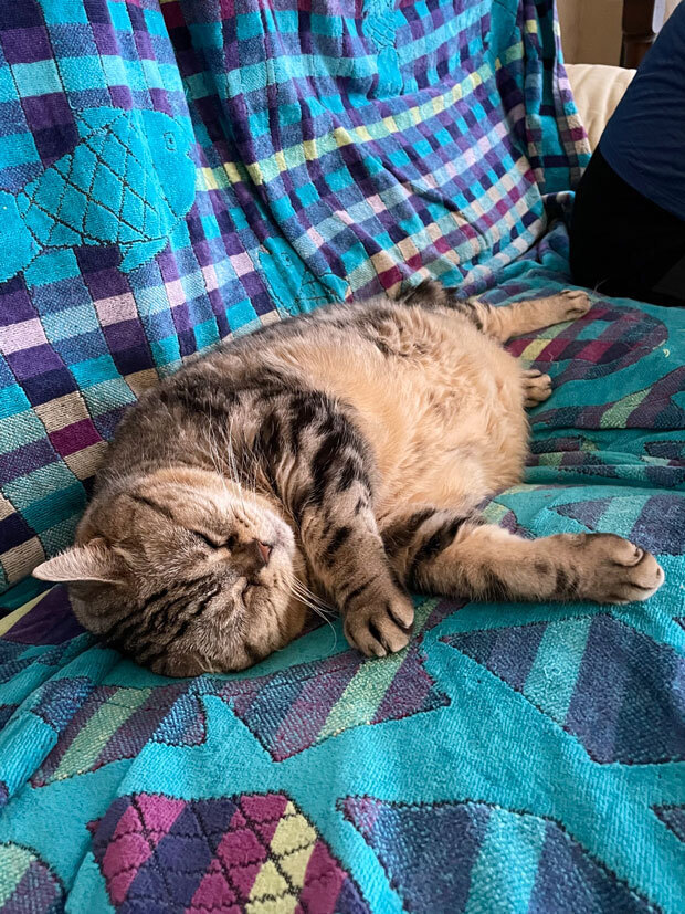 sumomo365_202109_relax_01.jpg