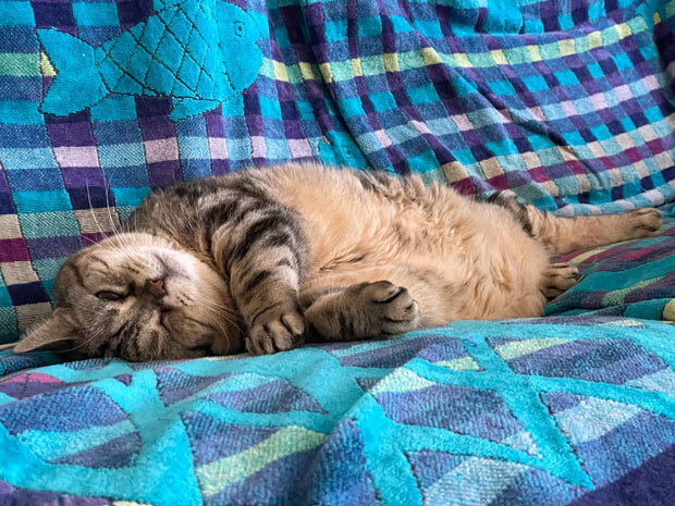 sumomo365_202109_relax_03.jpg