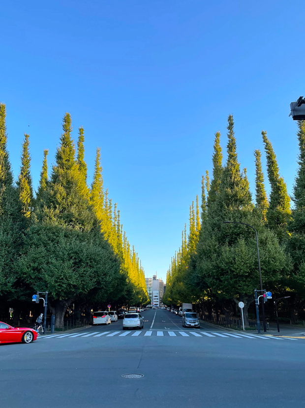 sumomo365_202110_Jingu_Gaien_00.jpg