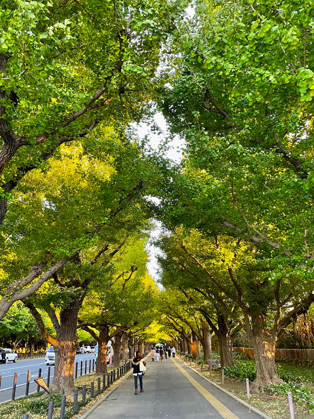 sumomo365_202110_Jingu_Gaien_02.jpg