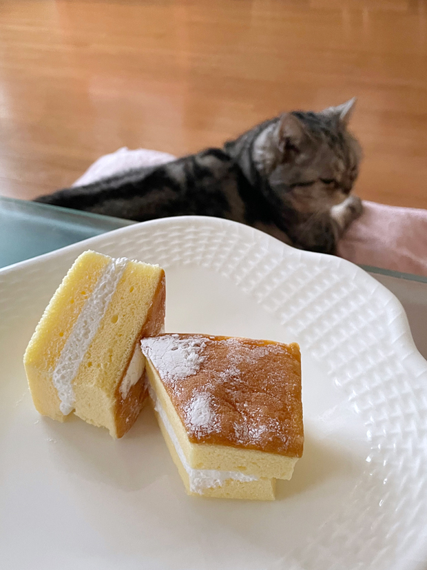 sumomo365_202110_Taiwan Castella_02.jpg
