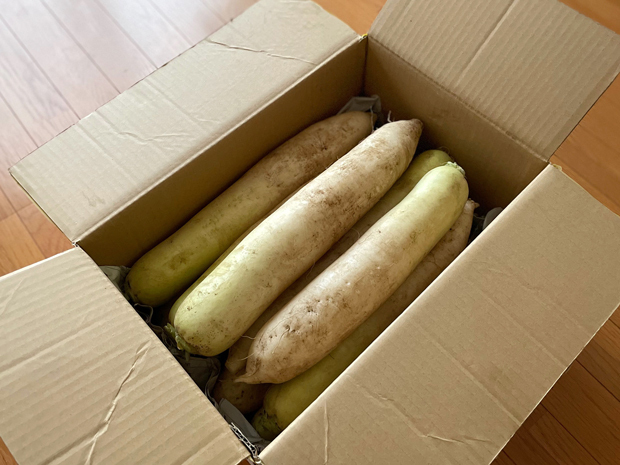 sumomo365_202111_Japanese_white_radish_00.jpg