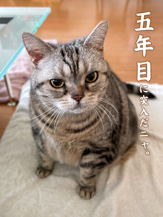 sumomo365_20211207_00.jpg