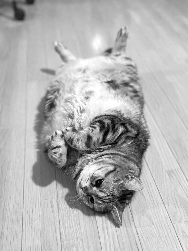 sumomo365_202201_Sleeping_technique_00.jpg