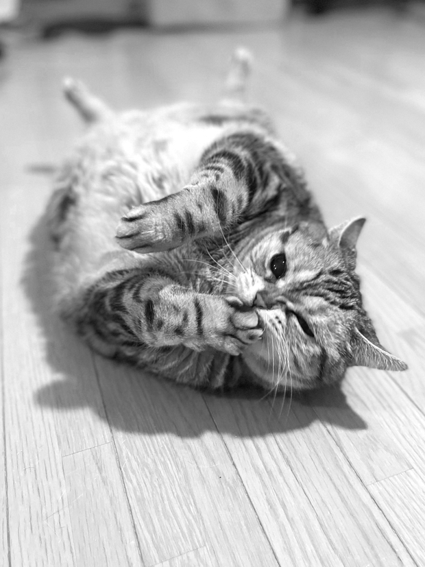 sumomo365_202201_Sleeping_technique_01.jpg