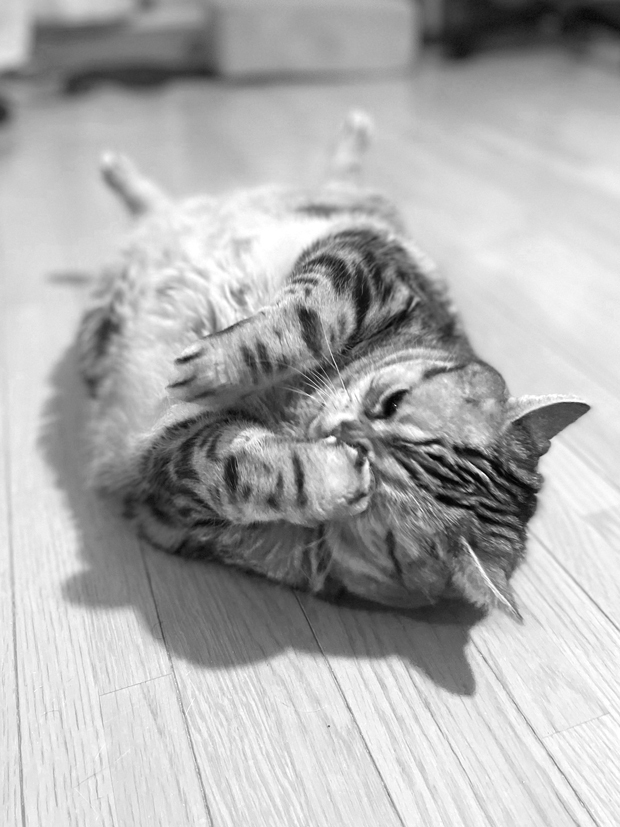 sumomo365_202201_Sleeping_technique_02.jpg