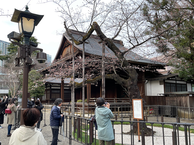 sumomo365_20220321_Yasukuni_Shrine_00b.jpg
