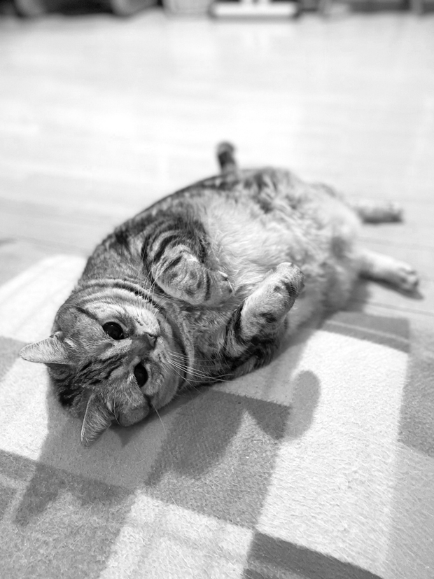sumomo365_202203_Monochrome_02.jpg