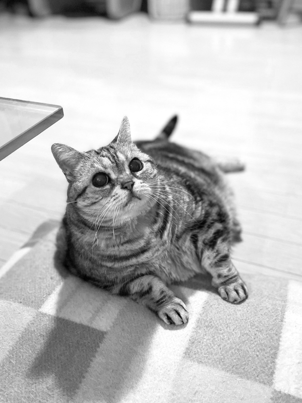 sumomo365_202203_Monochrome_07.jpg