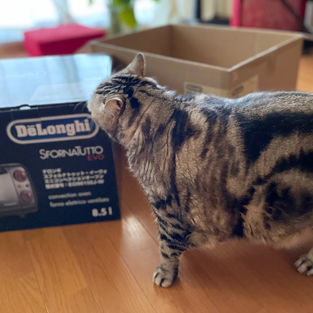 sumomo365_202203_delonghi_03.jpg