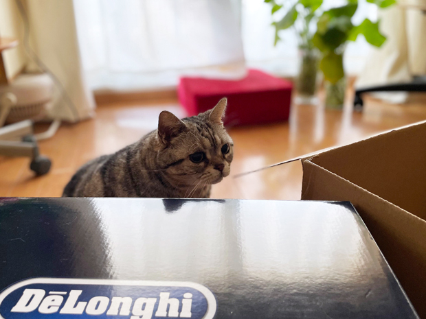 sumomo365_202203_delonghi_04.jpg