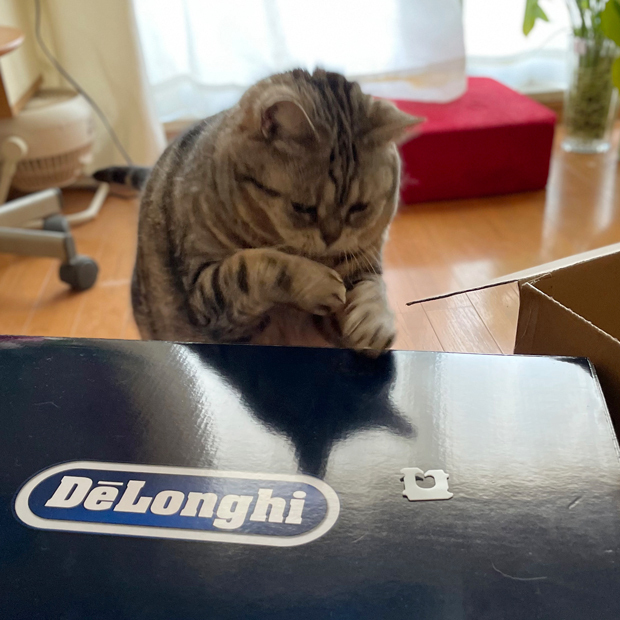 sumomo365_202203_delonghi_05.jpg