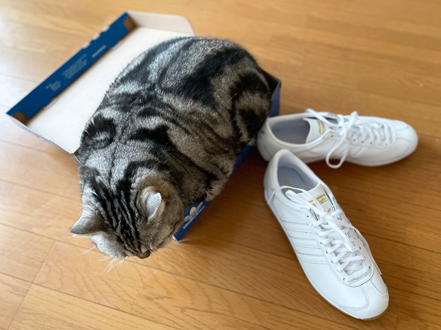 sumomo365_202203_sneakers_09.jpg